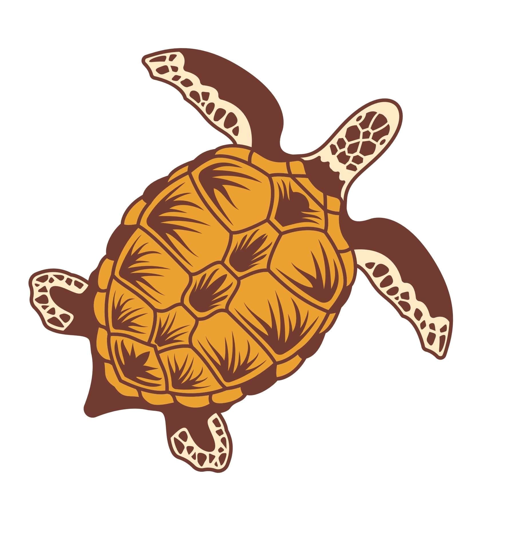 מדבקה 5 לסקייט ולגלשן