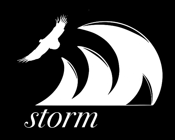 STORM SURF